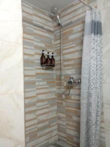 沃洛斯Olive - HappyHostGr - Downtown Apartment的浴室内配有淋浴帘。
