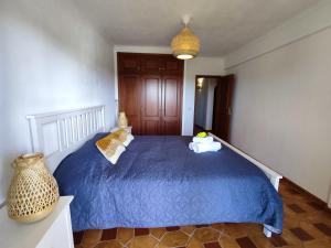 珀彻斯61 Casa Pitta Manau - Casas & Papéis的一间卧室配有蓝色的床和两个枕头