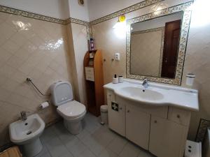 珀彻斯61 Casa Pitta Manau - Casas & Papéis的一间带水槽、卫生间和镜子的浴室