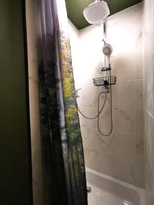LabroyeAu Pied Du Trieu, The Shelter的带淋浴和浴帘的浴室
