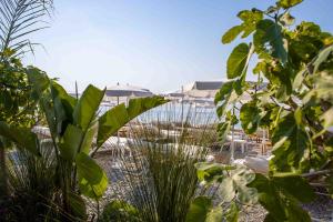 尼斯Hotel Le Negresco的享有海滩美景,配有遮阳伞和植物