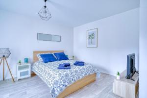 CourcouronnesLOGEMENT AARON的一间卧室配有一张带蓝色枕头的床和一台电视。