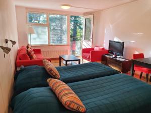 赫尔辛基索菲亚酒店的一间卧室设有一张床和一间客厅。