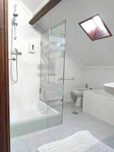 波尔图57的带淋浴、卫生间和盥洗盆的浴室