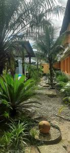 博拉塞亚博拉玛旅馆的棕榈树庭院和建筑
