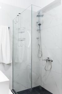 基萨莫斯Wink Bnb Paraliaki的浴室里设有玻璃门淋浴