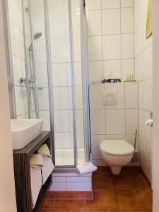 埃尔特维勒Altstadt Hotel Glockenhof的带淋浴、卫生间和盥洗盆的浴室