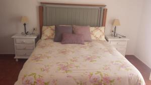 扎霍拉Casas Isabel的一间卧室配有一张带2个床头柜的大床
