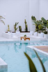 马利西亚斯Olisa Hotel Boutique的一座带白色家具和仙人掌植物的游泳池