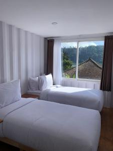新加拉惹A Container Smart Stay的配有窗户的酒店客房内的两张床