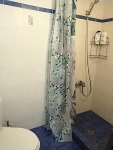 特里波利斯Central Charming Apartment的浴室配有带卫生间的淋浴帘