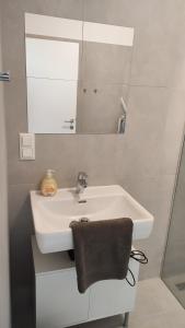 多瑙河畔克雷姆斯Krems am Campus的浴室设有白色水槽和镜子