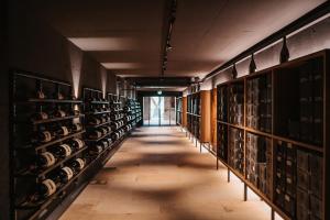 加姆利茨加姆利茨城堡酒店的酒窖中葡萄酒架的走廊