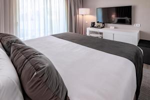 卡斯特尔德费尔斯普拉亚费尔斯酒店的酒店客房设有一张大床和一台电视。