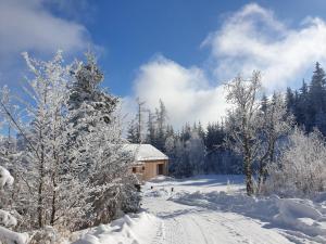 韦希瑟尔山麓圣科罗纳Ferienhäuser Gruber-List的一条雪覆盖的道路通向一座树屋