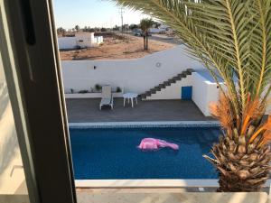 阿格希尔Dar Slima的一座房子旁边的游泳池里的一个粉色的猪