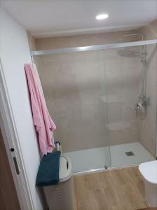 圣费尔南多Precioso Apartamento en San Fernando的浴室设有玻璃淋浴间和卫生间