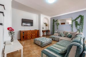科拉雷侯Villa Paraíso的带沙发和电视的客厅