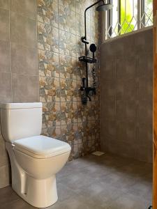 阿鲁沙Tiny house with amazing view的一间带卫生间和淋浴的浴室