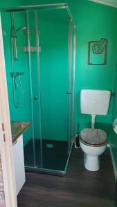 Heenwegdutchduochalet2的绿色浴室设有卫生间和淋浴。