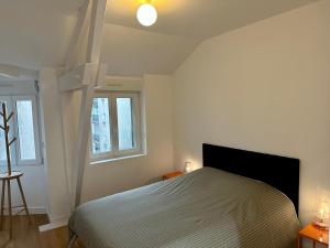 兰斯Bel Appartement avec parking au coeur de Reims的一间卧室设有一张床和两个窗户。