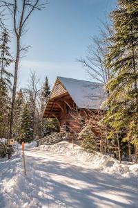 苏必利尔湖RCNT Chalets Mont-Tremblant的雪地里的小木屋,有一条路