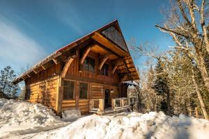 苏必利尔湖RCNT Chalets Mont-Tremblant的雪中树林里的小木屋