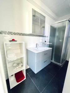 塔尔奎尼亚CASA DANI的白色的浴室设有水槽和淋浴。