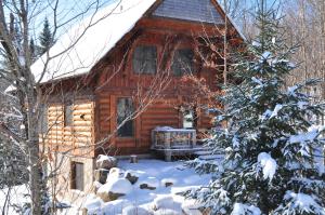 苏必利尔湖RCNT Chalets Mont-Tremblant的冬季的小木屋,地面上积雪