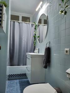 维戈Casa Porto, con Garaje的一间带卫生间、水槽和镜子的浴室