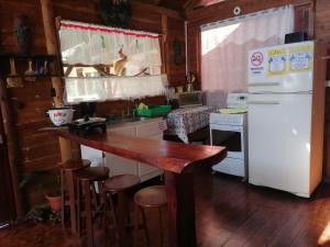 ParaísoFinca pedacito de cielo的厨房配有柜台和白色冰箱。