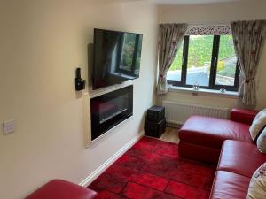 奈恩The Apartment的客厅配有红色沙发和平面电视