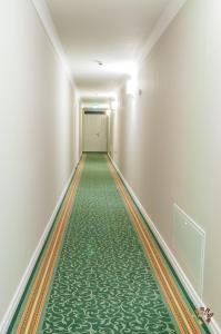 比斯特里察Pensiunea Terra的一条空的走廊,有绿色的地板和白色的墙壁