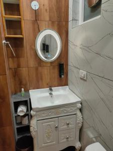 西姆拉Shimla Abode的一间带水槽和镜子的浴室