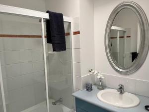 布里斯班Swan Guest House的浴室配有盥洗盆和带镜子的淋浴