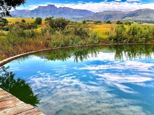 香槟谷Drakensberg Inkosana Lodge的山水池的背景