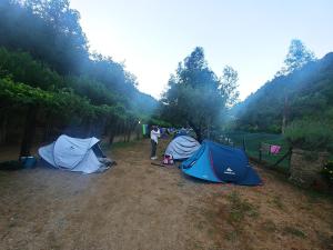 多尔切阿夸Agricamping Ponteraggio n.1的站在田野上两个帐篷旁边的人