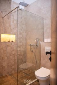 米特罗维察Ador Hotel North Mitrovica的浴室设有玻璃淋浴间和卫生间