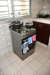 杜阿拉Spetiv Guesthouse的厨房配有带2个锅碗瓢盆的炉灶