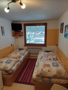 维塔诺瓦Apartmány Goral Oravice的配有窗户和地毯的客房内的两张床