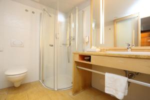 扎达尔法肯斯特尼俱乐部弗尼马申波瑞可酒店的带淋浴、卫生间和盥洗盆的浴室