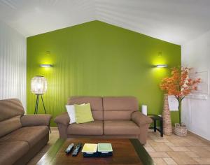 赞布热拉-杜马尔Herdade do Kuanza的带沙发和绿色墙壁的客厅