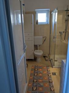 普利兹纳Appartement Blue Lagune 4 Sterne的一间带卫生间和淋浴的小浴室