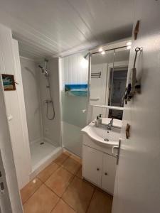 洛尔蒙Maison indépendante avec 6 chambres proche du tram A的白色的浴室设有水槽和淋浴。
