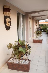 坎帕拉Olori Rentals的门廊,长满了植物和面具
