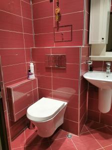 VratsaDabnika的红色的浴室设有卫生间和水槽