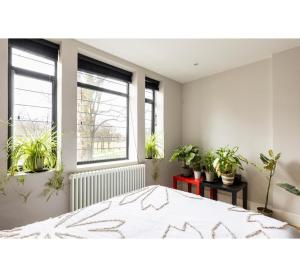 伦敦Bitcoin superior king room的一间带盆栽和大床的卧室