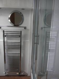 HirnantTranquil 3-Bed Cottage Near Lake Vyrnwy的带淋浴和镜子的墙壁浴室