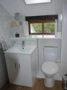 HirnantTranquil 3-Bed Cottage Near Lake Vyrnwy的一间带卫生间、水槽和窗户的浴室