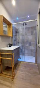 佩斯基奇Liberato Puglia Vacanze的带淋浴、水槽和台面的浴室